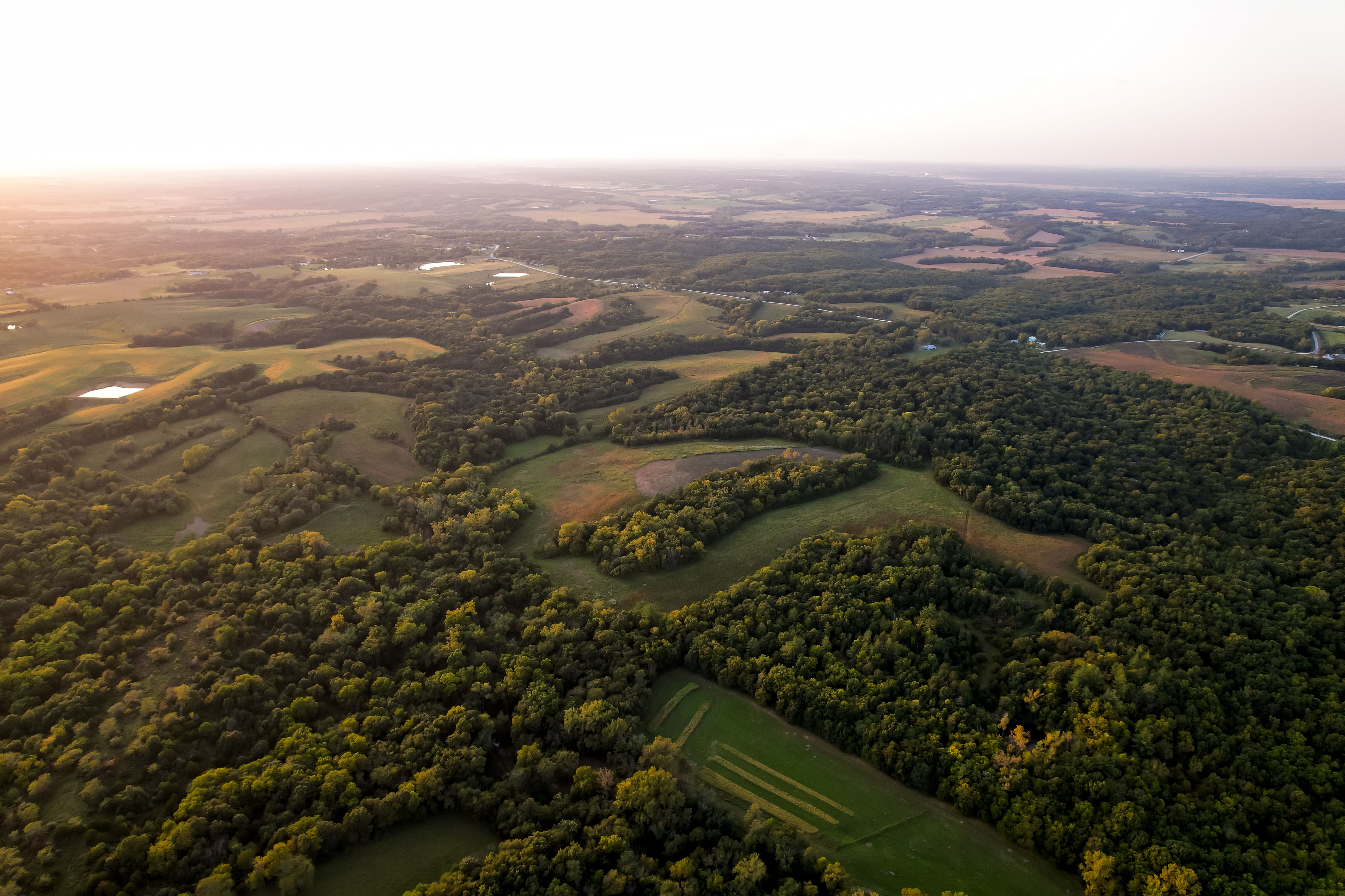 Listing Photo: Photo Sep 10 2025, 6 55 17 PM